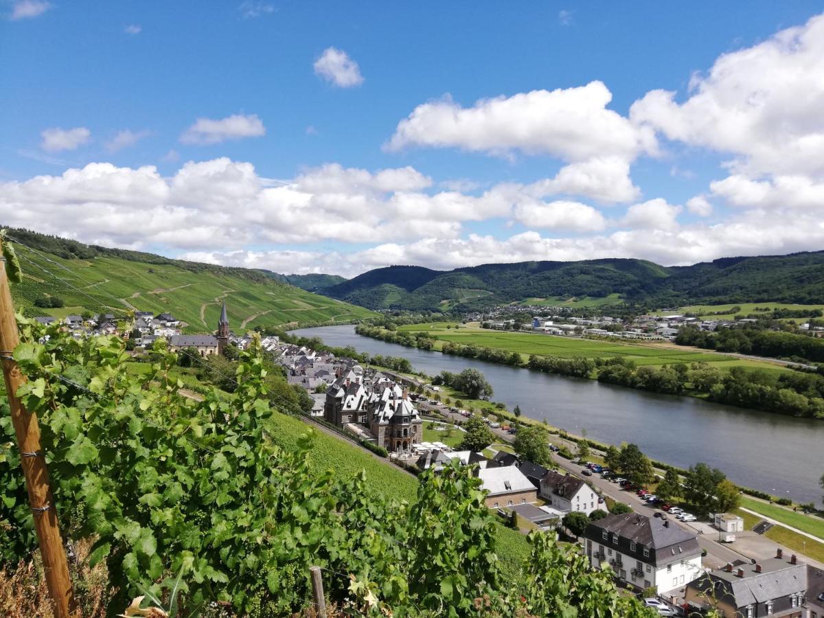 Ferienwohnungen "Moselblick" Lieser Exteriör bild