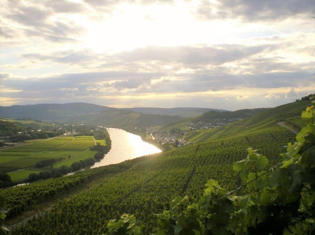 Ferienwohnungen "Moselblick" Lieser Exteriör bild