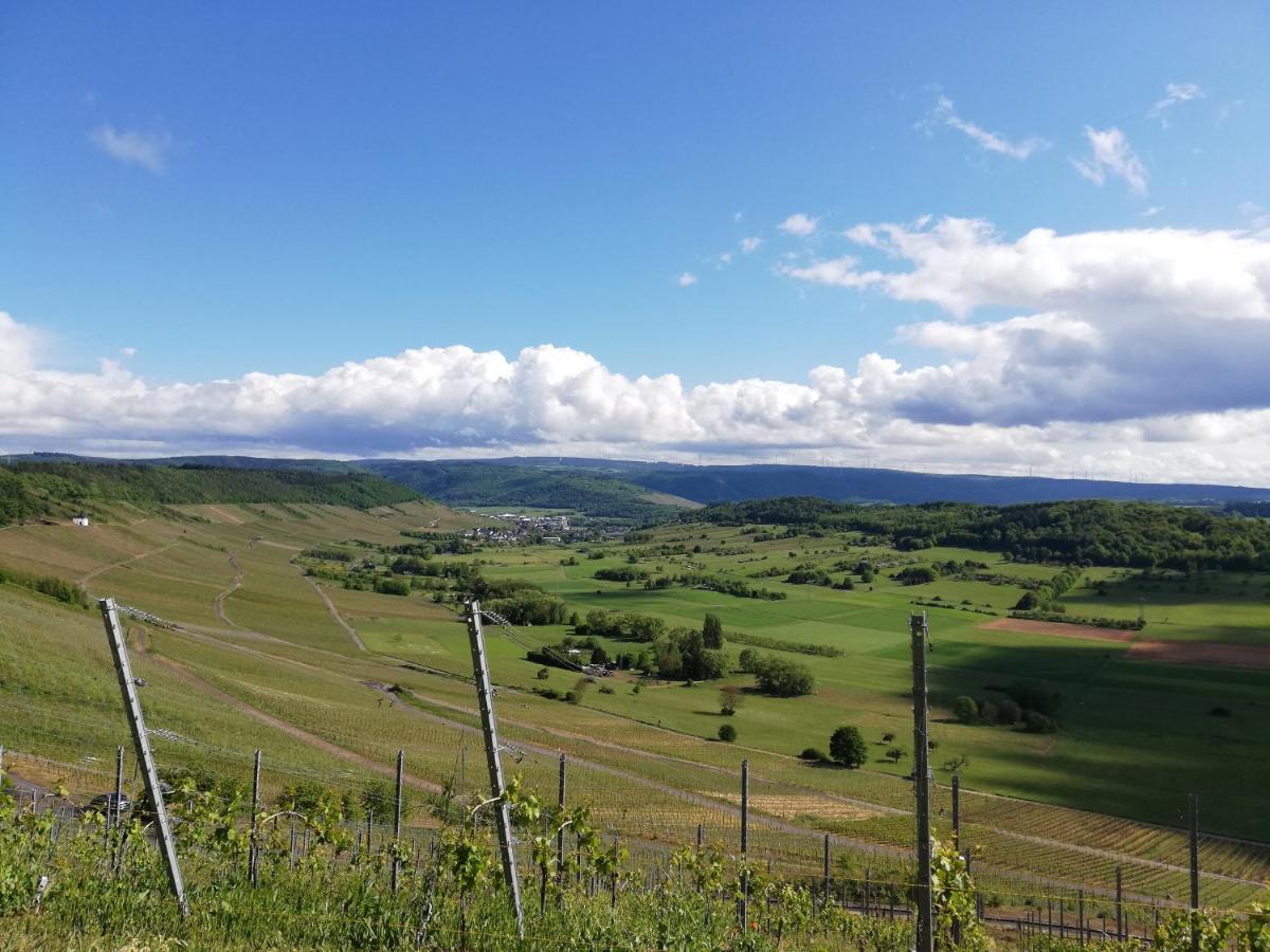 Ferienwohnungen "Moselblick" Lieser Exteriör bild